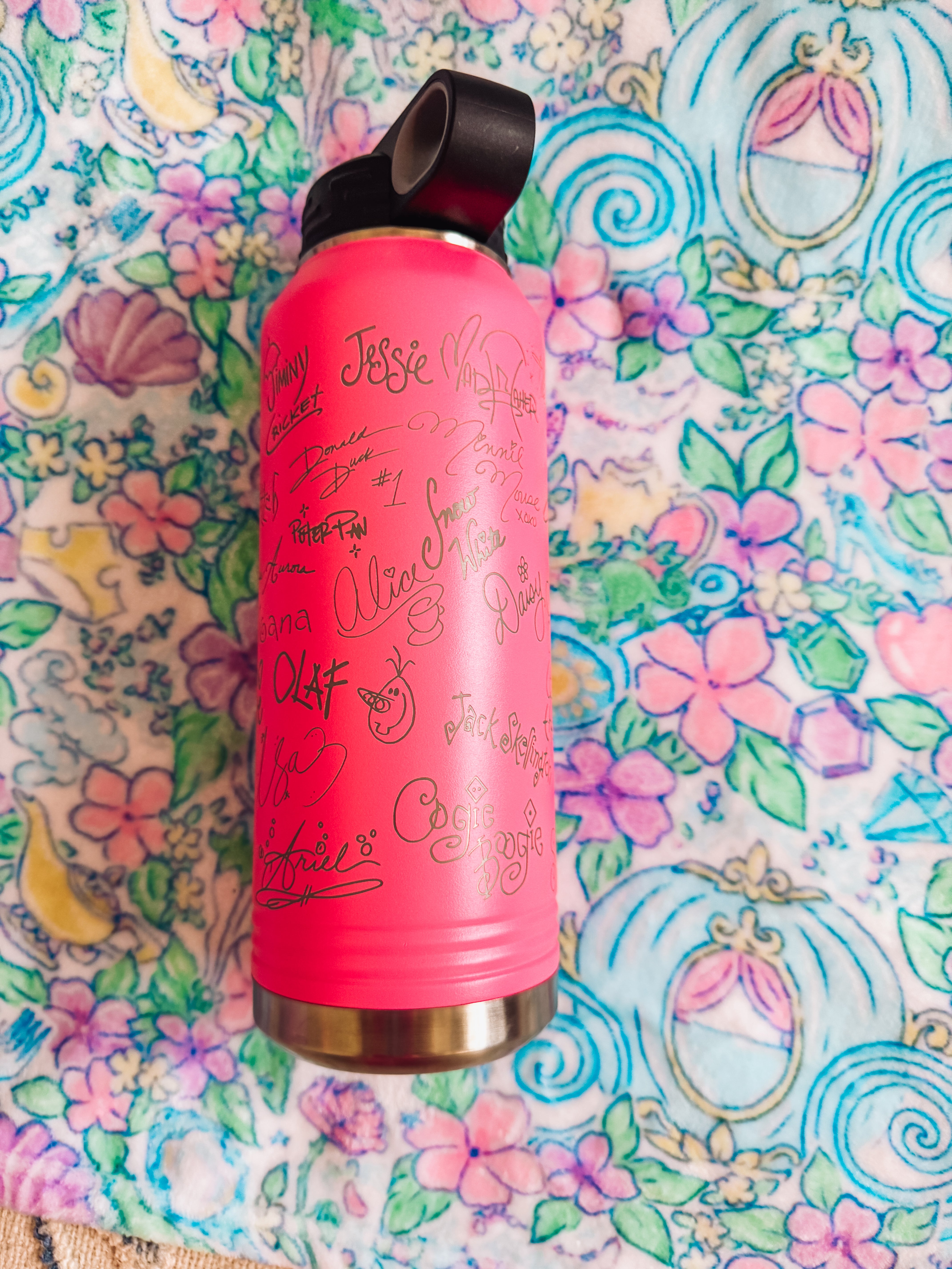 Pink Castle Autograph Water Bottle 32oz